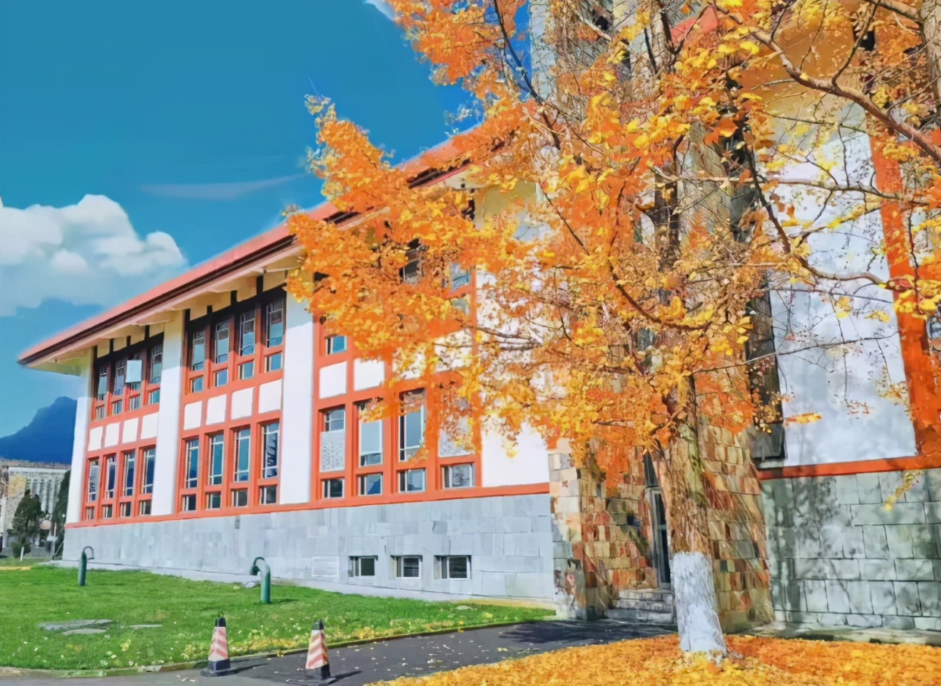 重庆考生中“捡漏王”，507分考入985名校，还是热度高的临床医学