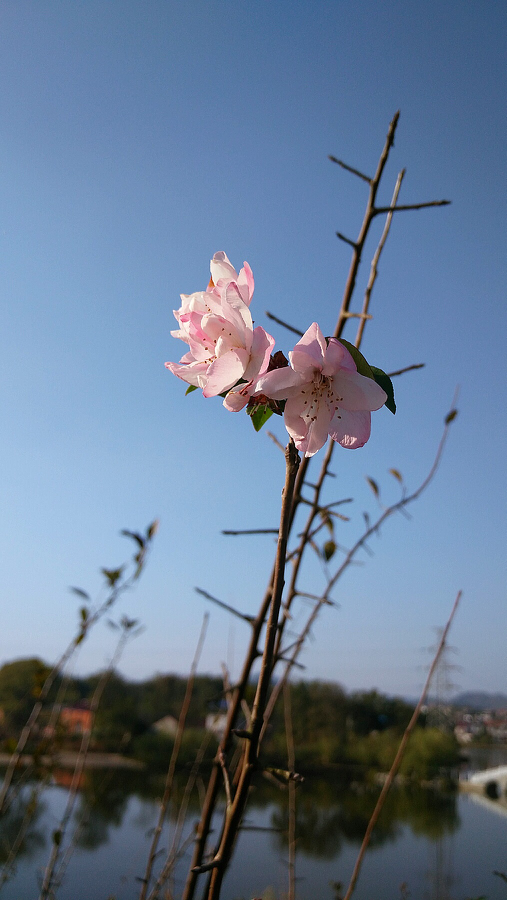 跟着高考状元学五步学习法，再也不用操心孩子的学习