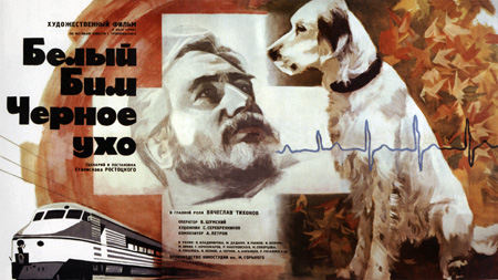 影史第一忠犬 八公vs多哥 天天看點