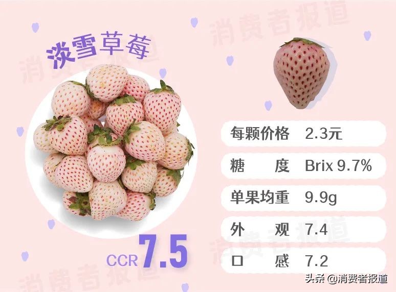 6款高档草莓试吃：5元一颗的“白富美”草莓，颜值和实力哪个更扛打？