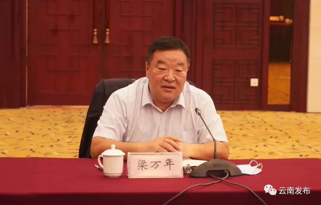 国家专家组组长梁万年率队南下瑞丽，背后有新意