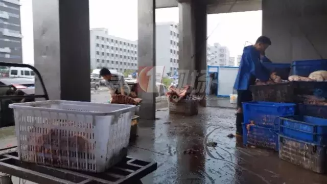 吃饭时勿点!用脚踩、用生石灰泡,这些老牌火锅店的牛肚清洗方法曝光
