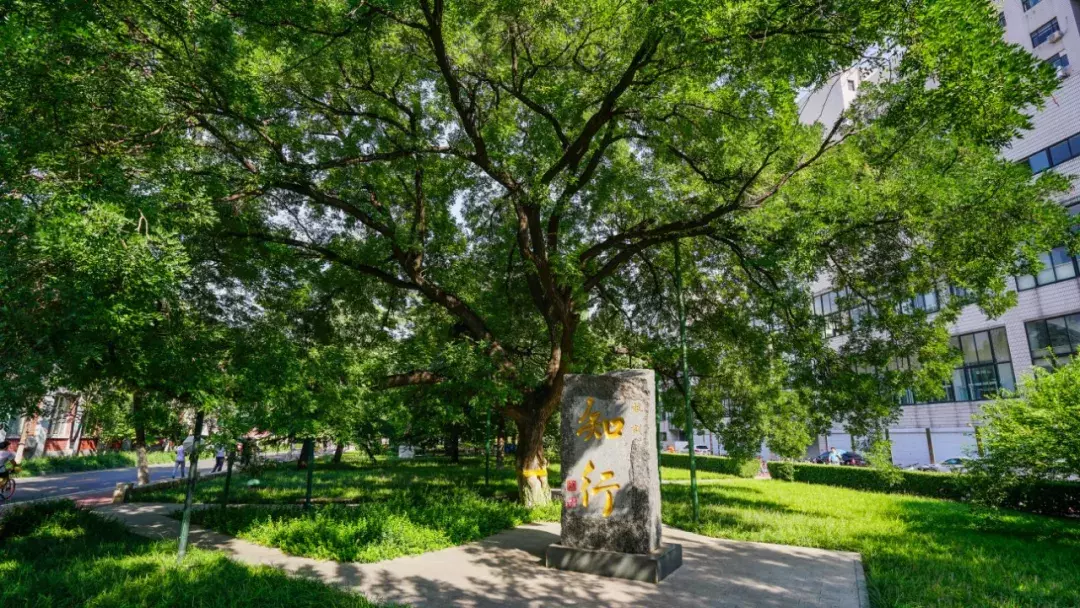 权威发布！北京交通大学2019年招生章程