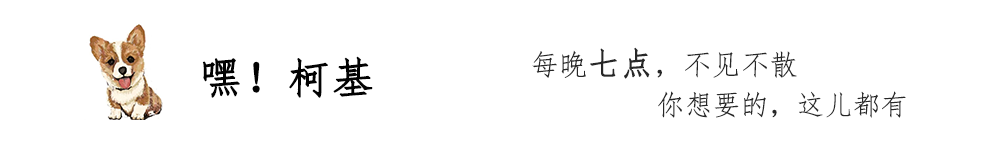 火爆抖音的谷歌地球手机版