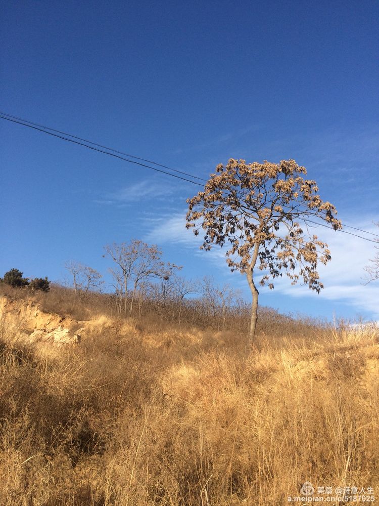 冬日里的湛蓝天空，纯净得让人心醉