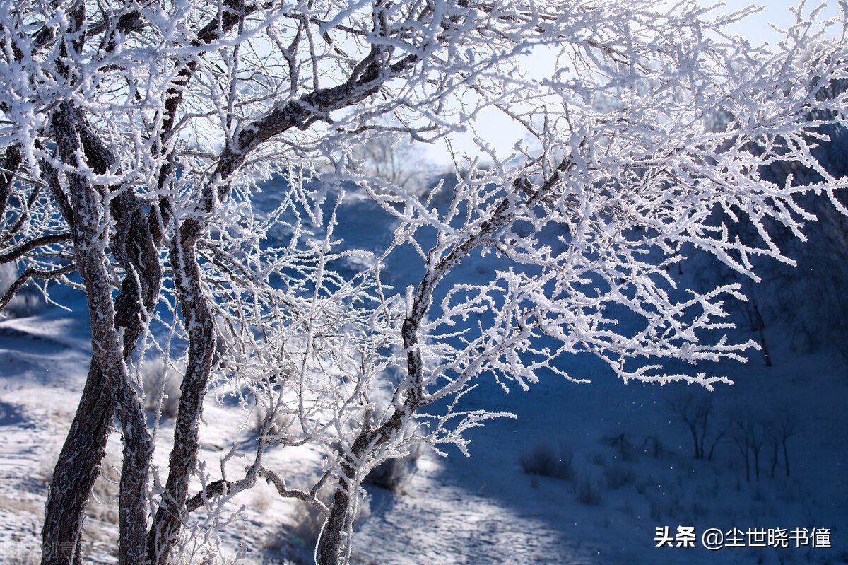 苏轼这首词写得很巧妙，不仅抒情还充满正能量，值得我们一读再读