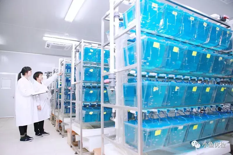 315测评丨15款小儿感冒发烧用药全测评,走心献上!