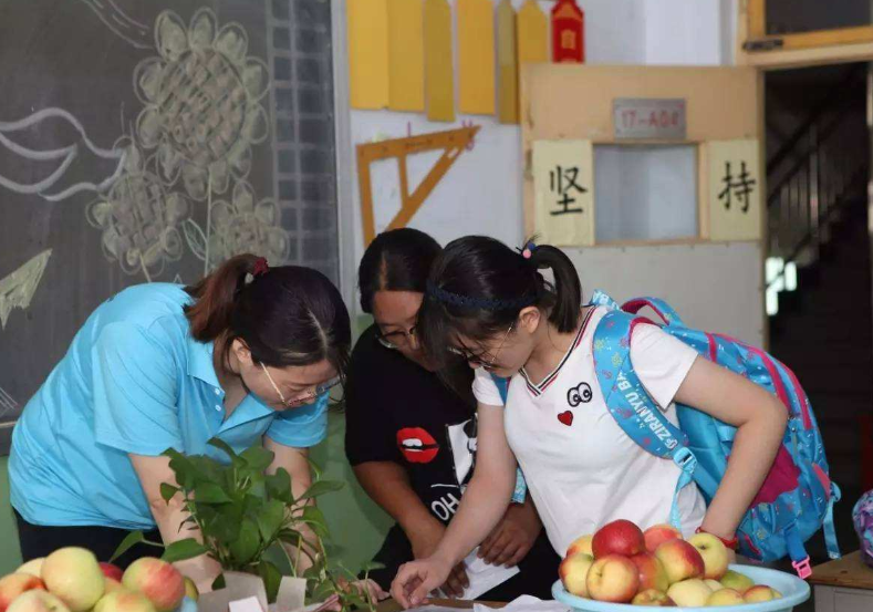 新高考选科，这3种组合比较好，高中生和家长可做参考