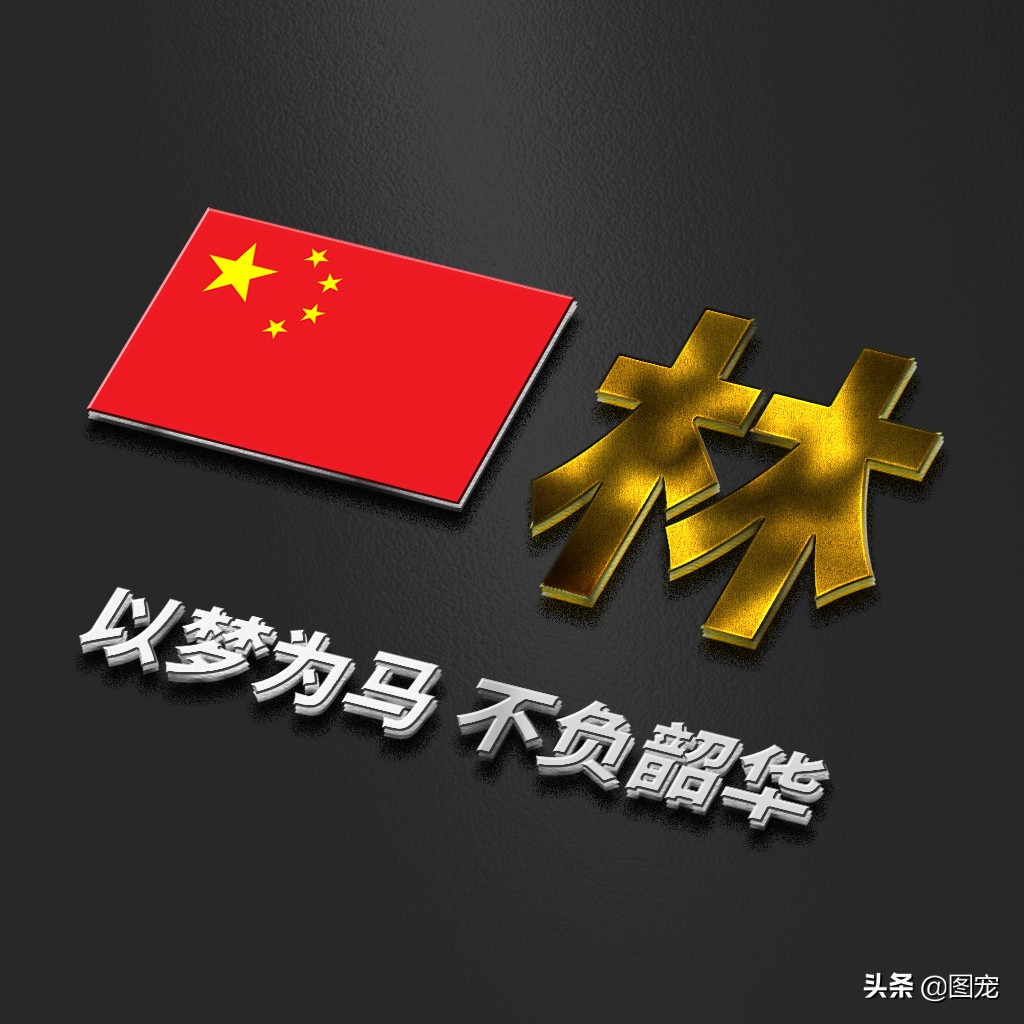 姓氏头像：爱国励志正能量微信头像，金色年华，以梦为马不负韶华