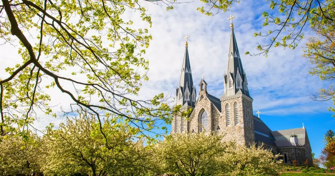 重磅来袭：宾州热门校大盘点！！！