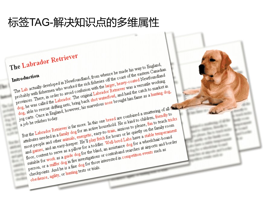 个人知识管理培训总结和分享