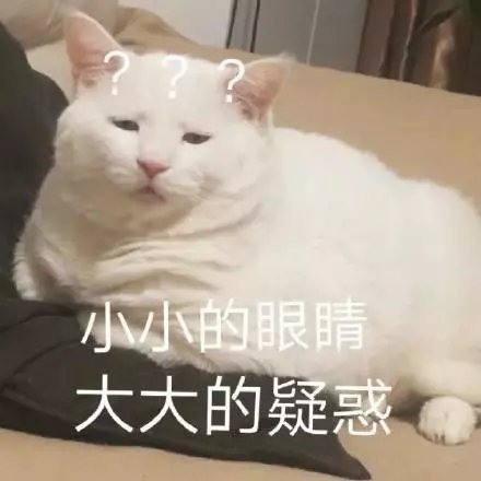 猫咪表情包合集｜我不是，我没有，你瞎说