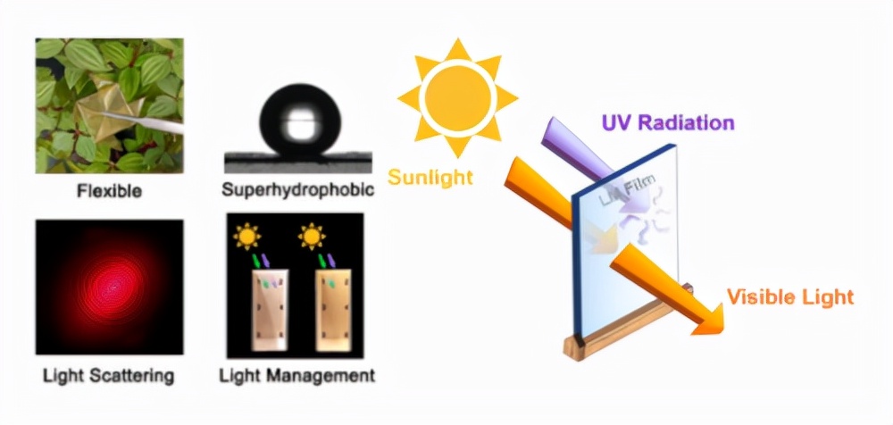 揭秘！北京林业大学科研实力如何？仅一个月，就有8项成果引发全球关注！
