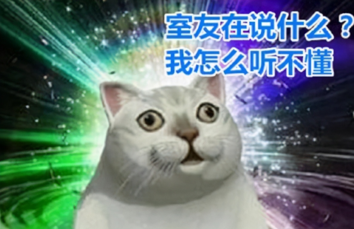 北方学生到南方读大学是啥体验？语言加密不算啥，干饭才是真难题