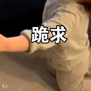 向对象道歉表情包,黄夏温可爱套图:向恶势力下跪,我错啦