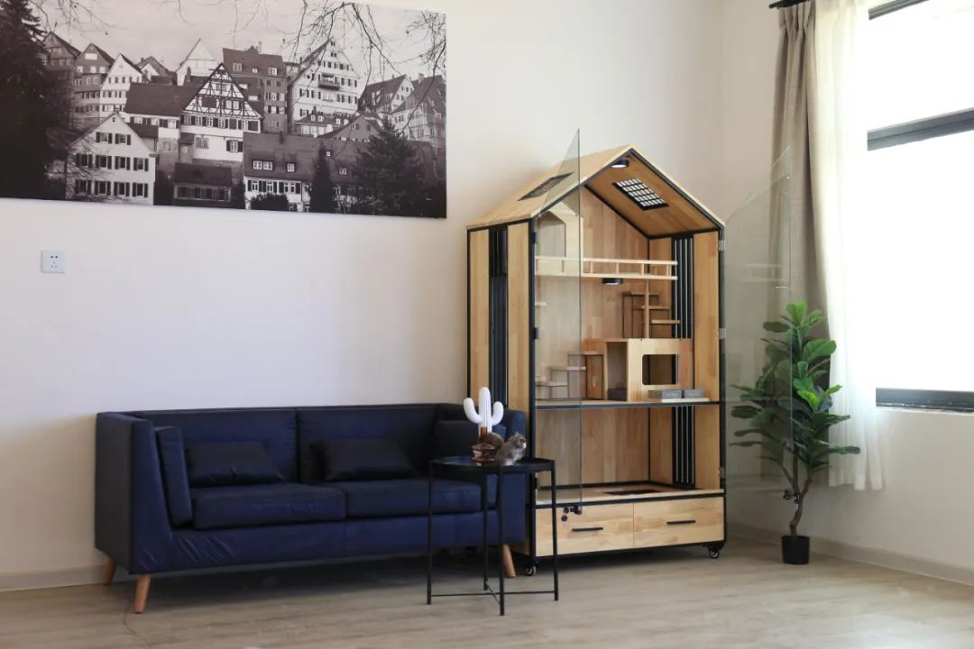 58天造出电动跑车的清华高材生，造“猫别墅”，美国买家2倍买走