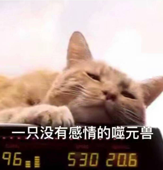 惊奇队长噬元兽表情包：我噬元兽不发飙，你当我是橘猫