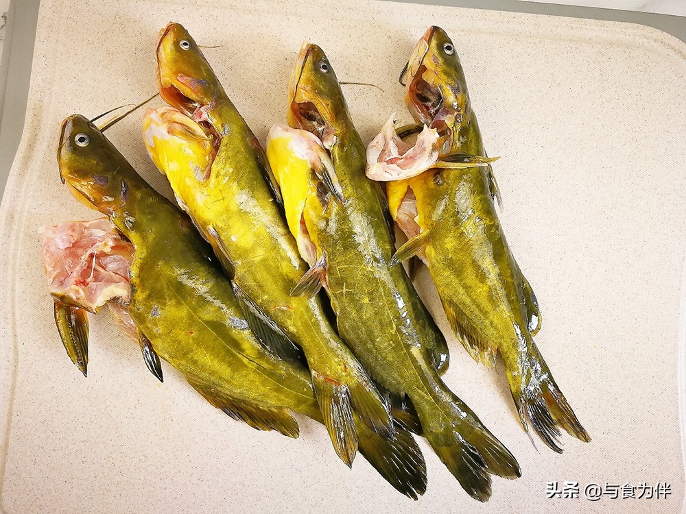 酱烧嘎牙鱼制作方法