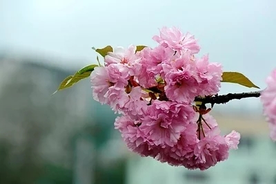 最高级的朋友圈：断舍离