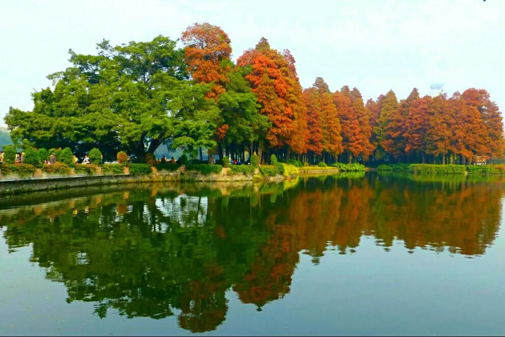 广州12个特色免费景点，周末打卡好去处，地铁直达，你想去哪个？