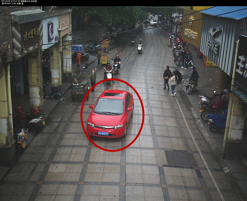 交通违法曝光！