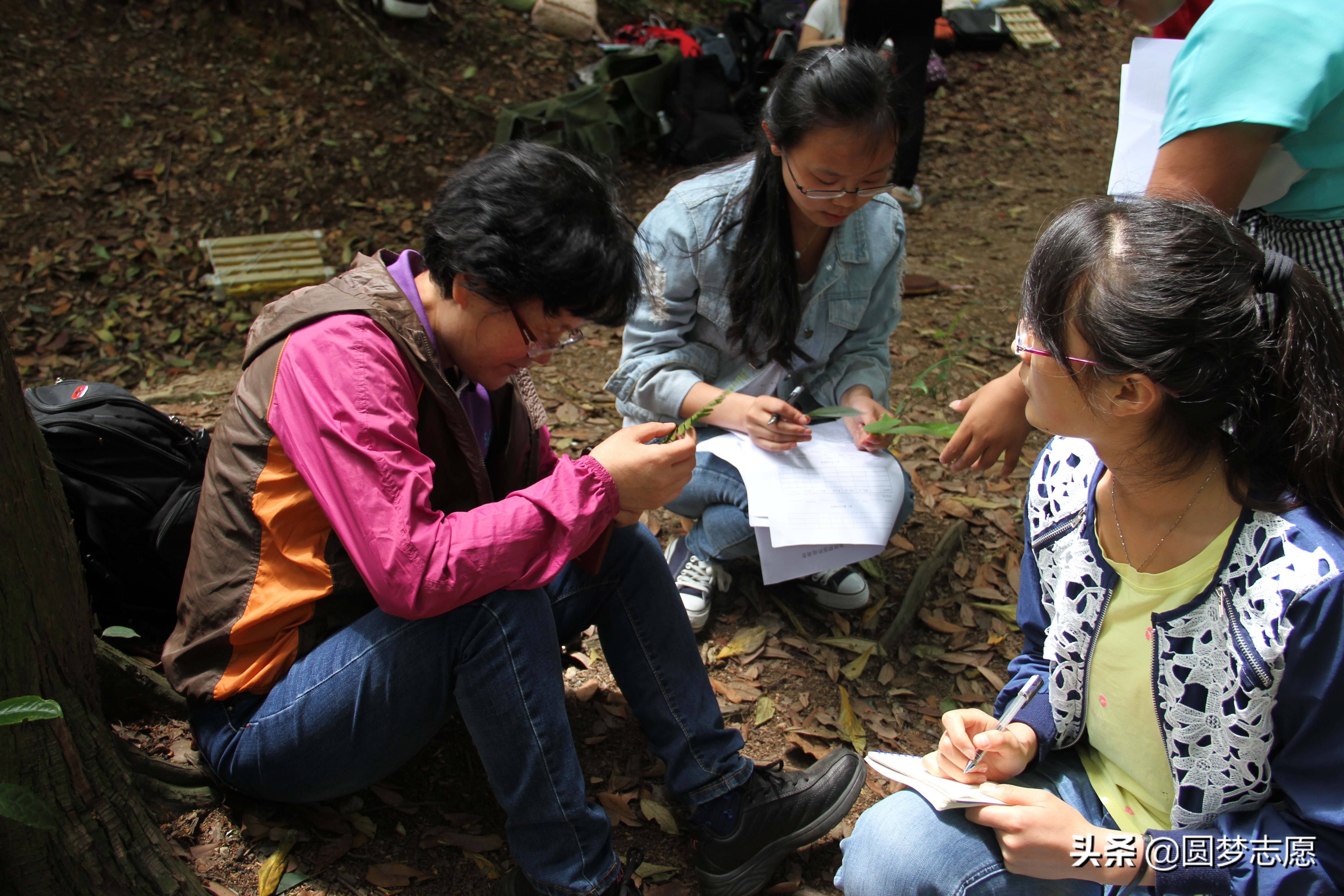 四川师范大学：公费师范生报考条件、录取分数线