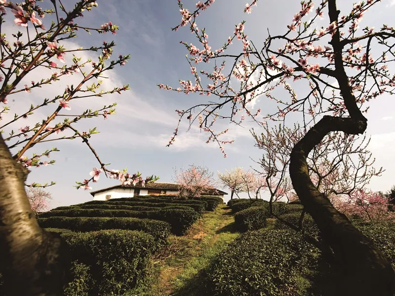 王观《卜算子•送鲍浩然之浙东》诗词赏析