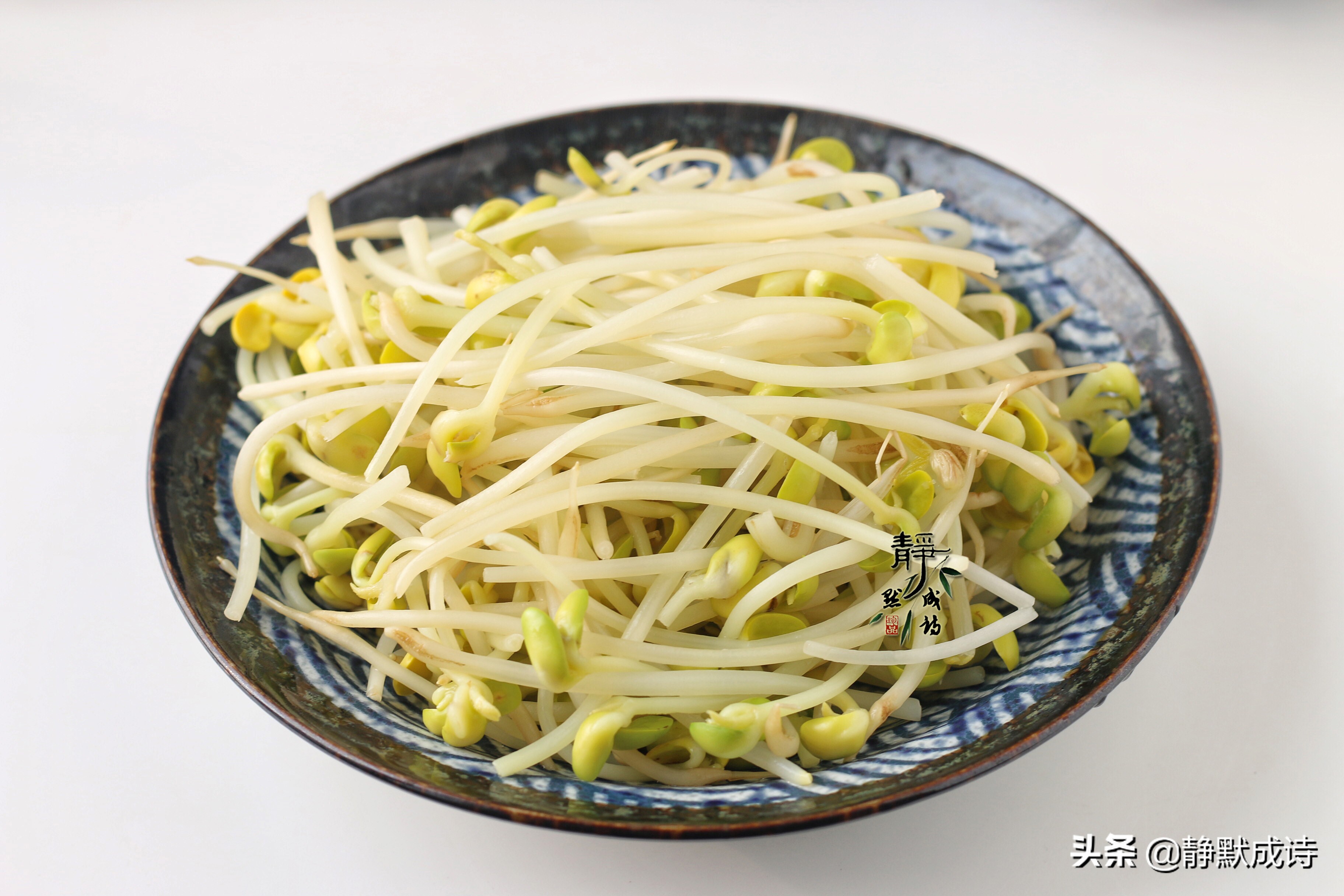 黄豆芽炒肉（一文详解分享黄豆芽炒肉的做法）