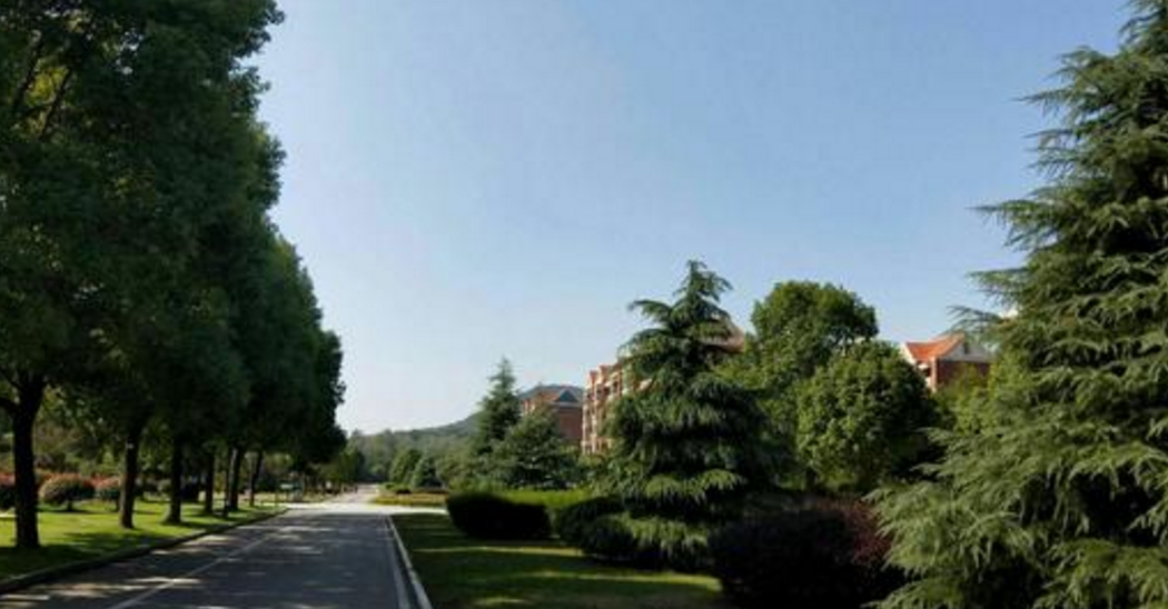 5所独立学院转公办本科，录取分数低学费减半，准考生可捡漏