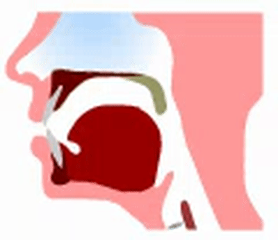 不要让L音不准的宝宝哭泣，如何矫正发音父母需要这样做