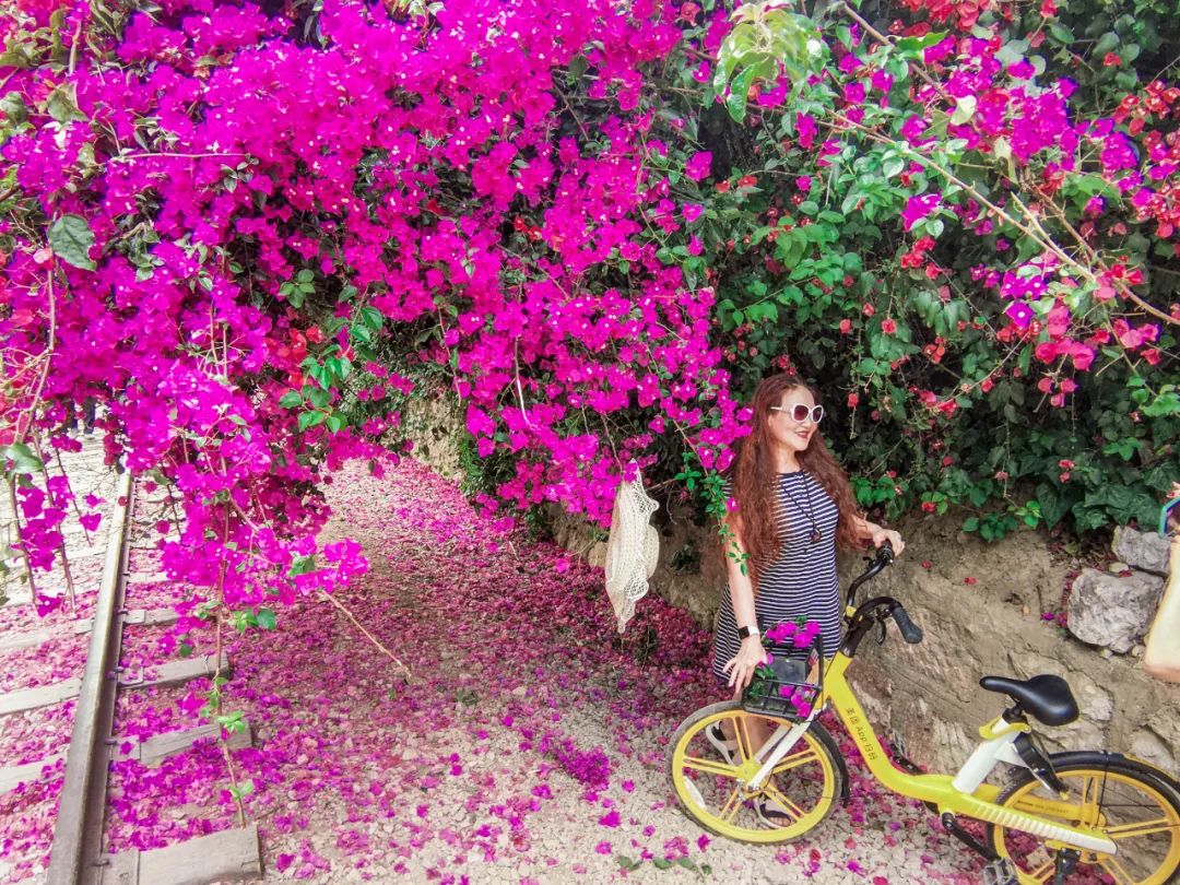 马住！继蓝花楹之后，昆明又添一网红打卡点