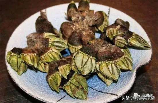 市场常见的102种海鲜，肉质鲜美，营养丰富，你们吃过几种？