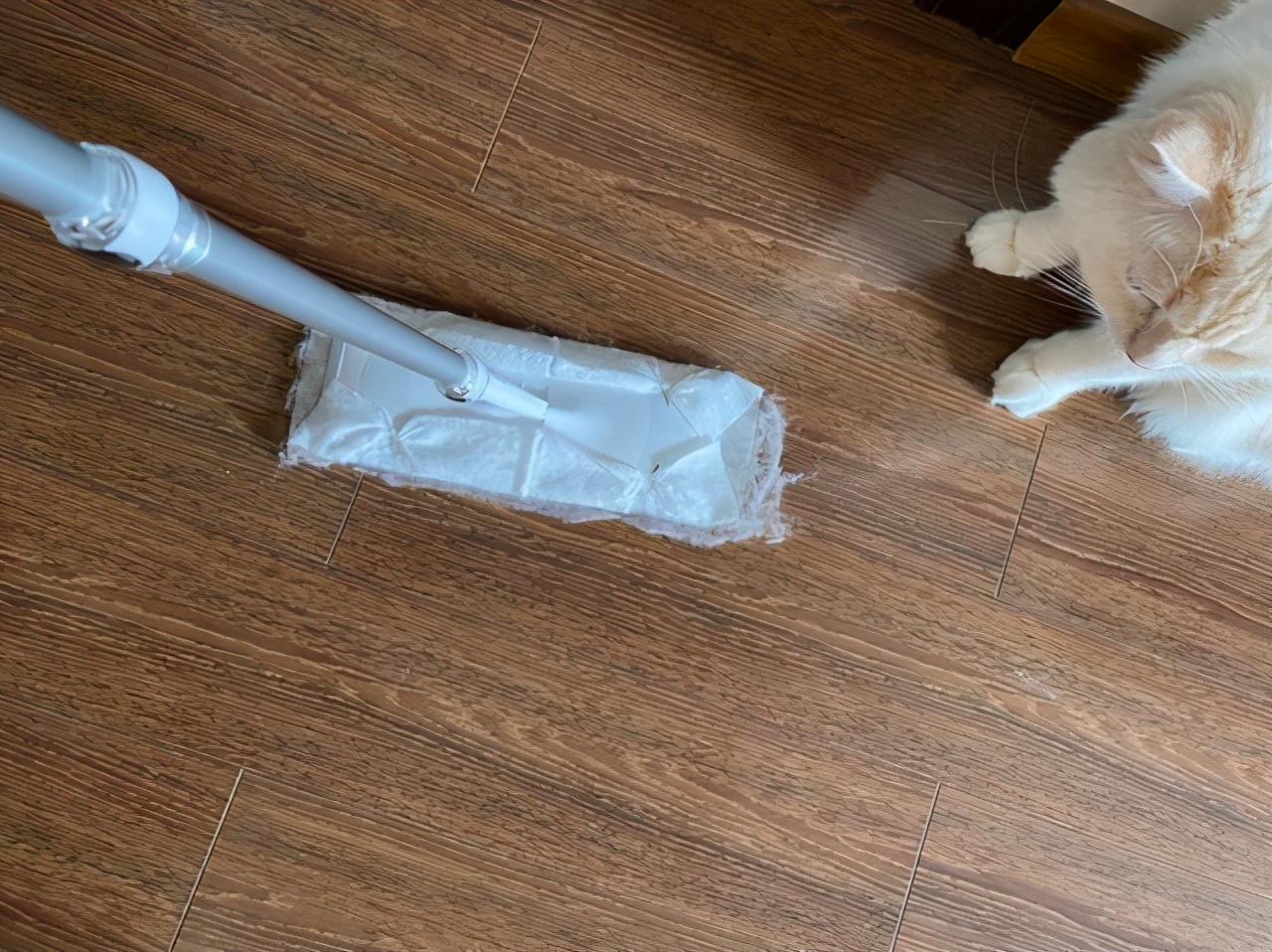 建议各位：若不差这点钱，家中常备这几样物品，日子越过越顺心