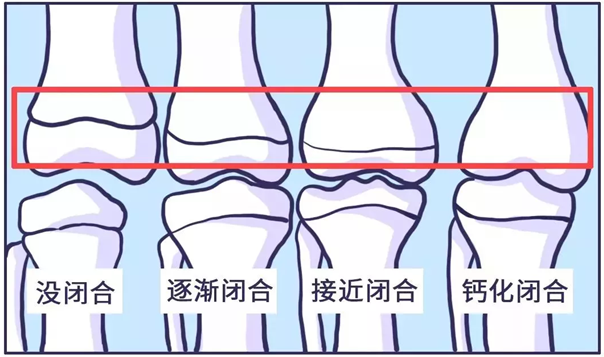 0-1岁身高体重标准对照表