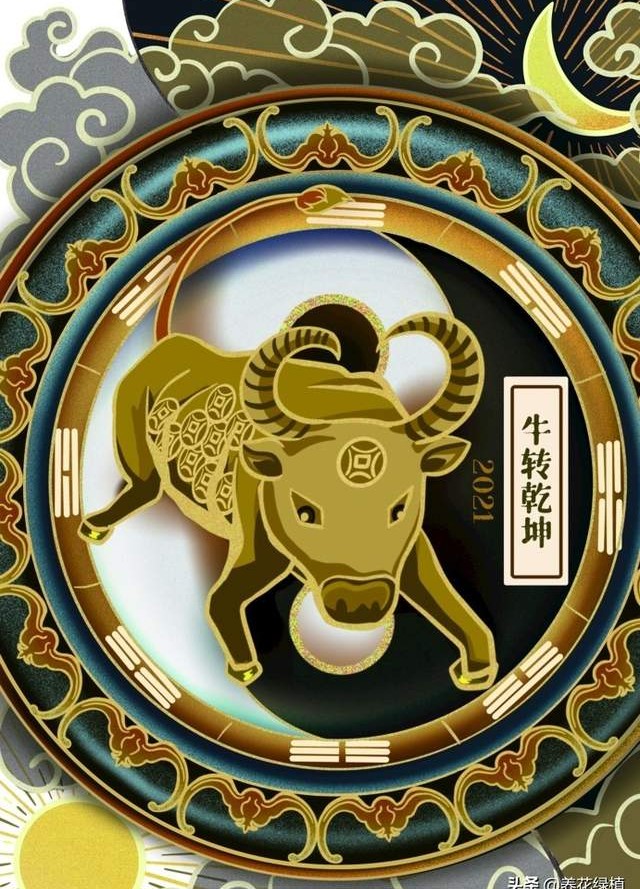 2021辛丑年,两头无春是寡年,俗语:寡年遇到牛,无春也盼头