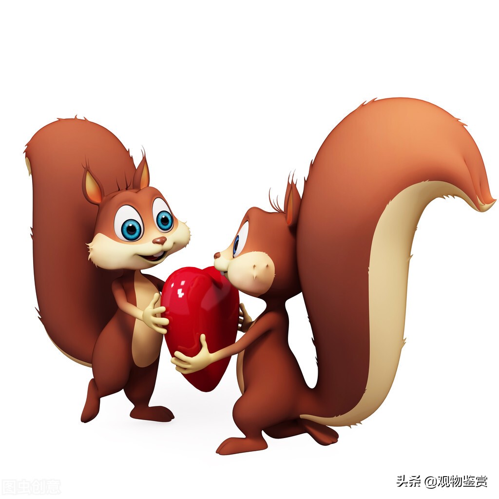 小松鼠長著長長的尾巴，能在空中自由跳躍，小松鼠尾巴有什么作用