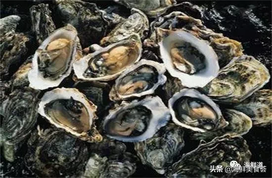 市场常见的102种海鲜，肉质鲜美，营养丰富，你们吃过几种？