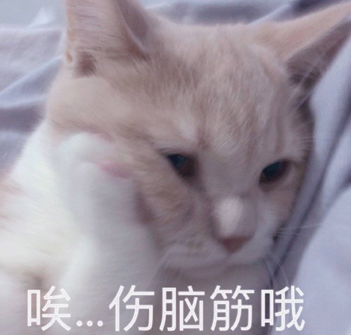 可爱的猫咪表情包合集｜哥哥，出来玩吗