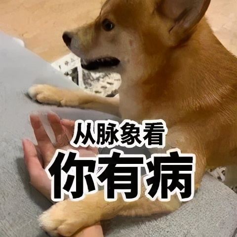 沙雕表情包动图  一委屈就想哭