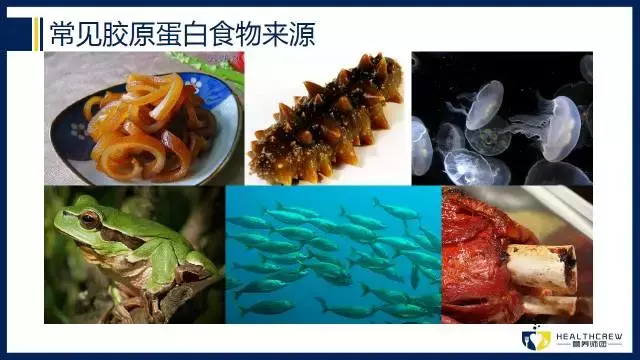 胶原蛋白肽到底是个什么鬼?为啥大家都爱它?
