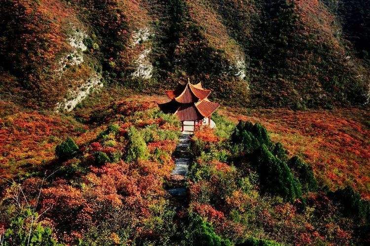 山西枫叶红了，都说这10个地方最好看，你怎么看？