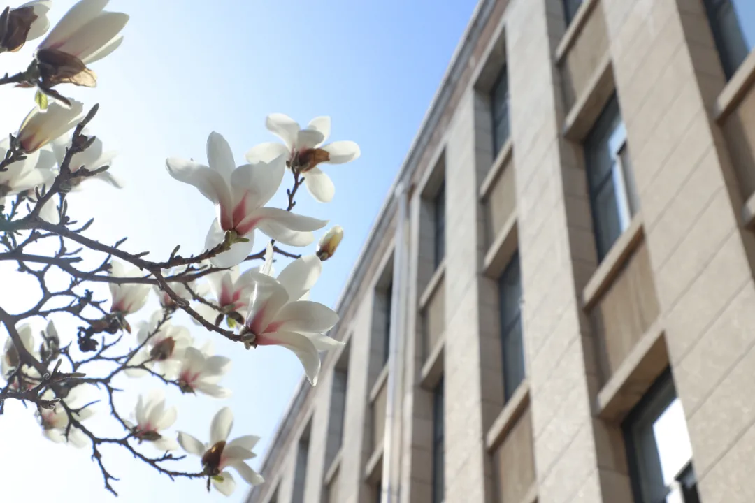 @新DUTers：你的录取通知书已经寄出