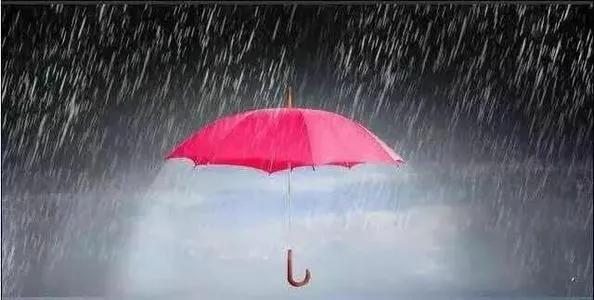 送伞的唯美句子