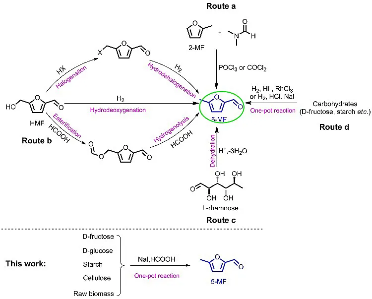 南昌大学杨维冉教授课题组碘催化最新研究工作概览