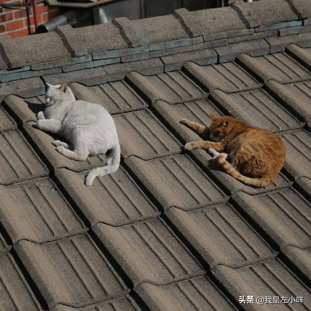 怎么参加成人统一高考（2022年成人高考怎么报名）