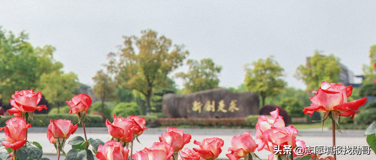 2019-2020年大学改名、升本，转设名单，最全收藏帖