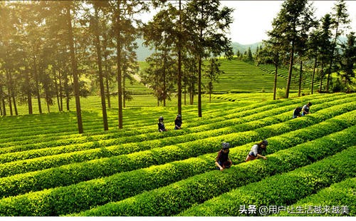 景德镇真是一个美丽的地方
