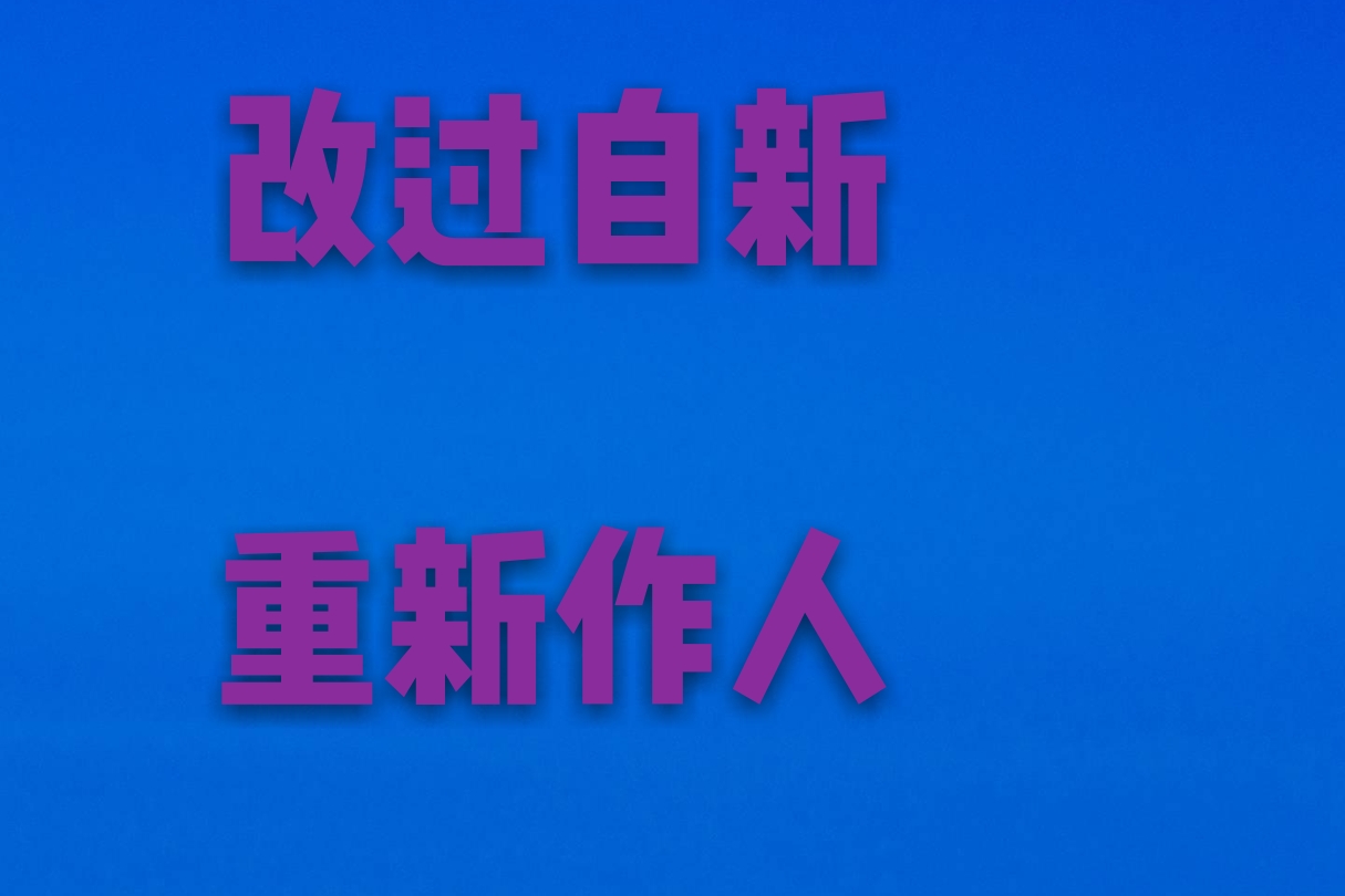 保释申请书,保释申请书怎么写