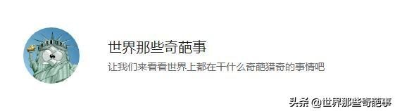 密尔顿·杰克逊：酒店监控成谜局，蓝可儿之死疑云再起。