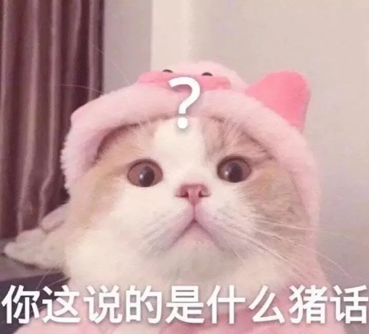 撒娇专用的猫咪表情包给你个机会偷亲我